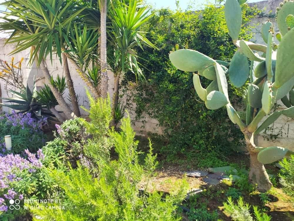 Bed & Breakfast Li Curti *