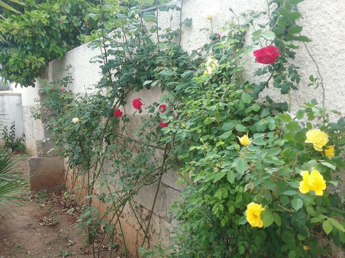 Li Curti Bed & Breakfast Melissano