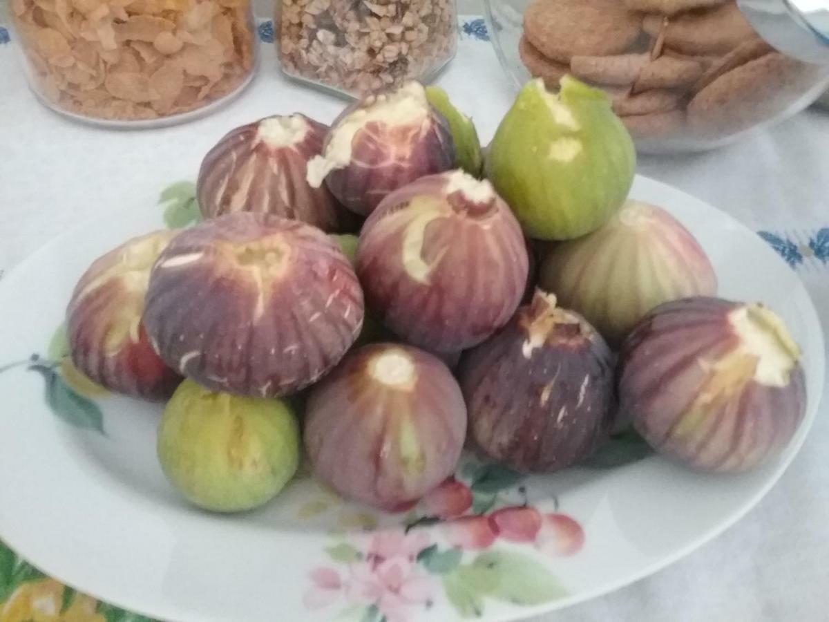 Li Curti