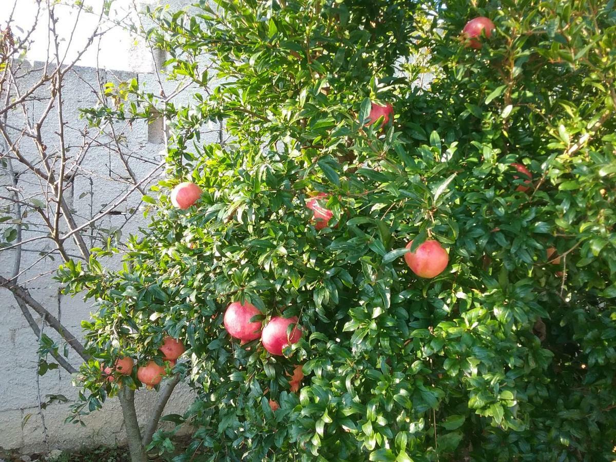 Li Curti Bed & Breakfast Melissano